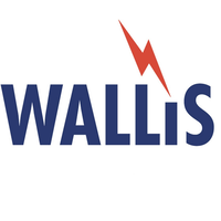 AN Wallis Logo | Earthing & Lighting Protection Products & Solutions