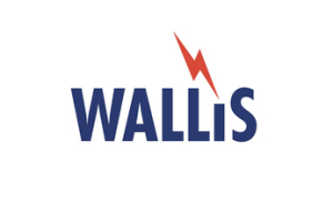 AN Wallis Logo | Earthing & Lighting Protection Products & Solutions
